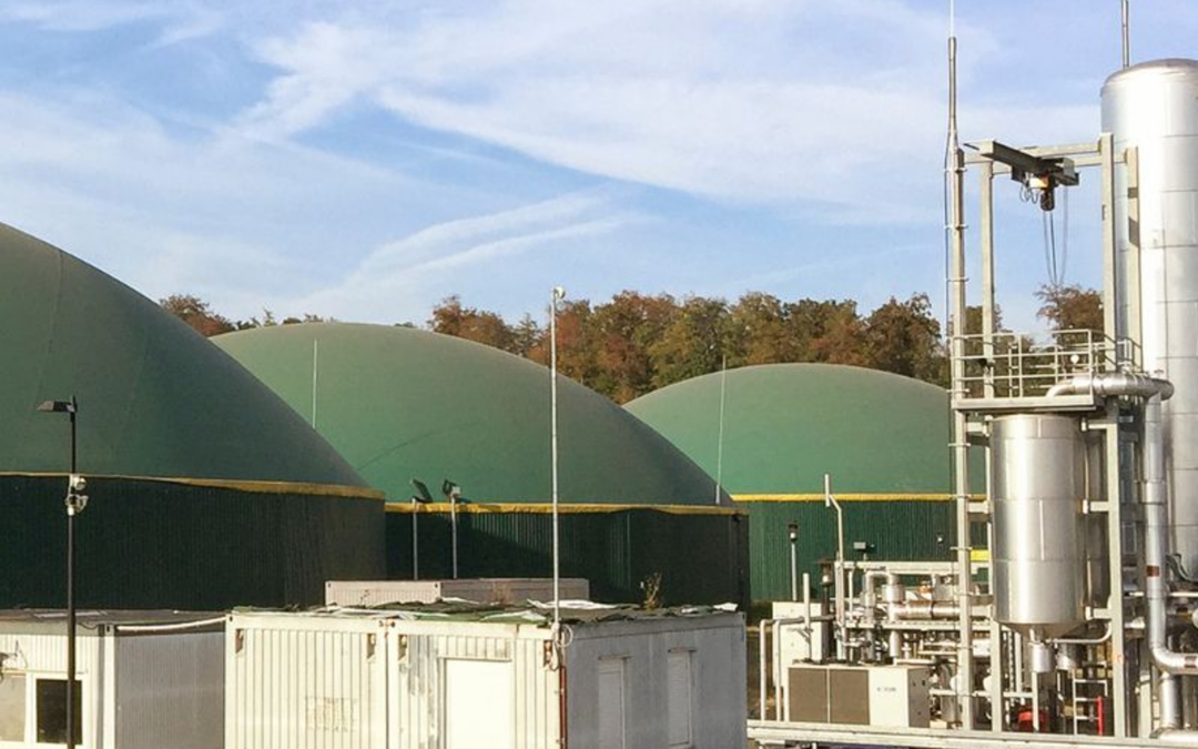 Die Rolle der Biogasanlagen für 100% erneuerbare Energien – und für die Wärmewende im ländlichen Raum